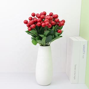 Fruit de noël rouge jaune r fruit sauvage rouge baies fleur de myrtille - Product Image 6