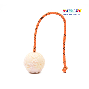 Balle <span class=keywords><strong>d</strong></span>'entraînement en toile <span class=keywords><strong>pour</strong></span> <span class=keywords><strong>chien</strong></span> factice Jouet interactif <span class=keywords><strong>pour</strong></span> animaux de compagnie Balle à mâcher robuste <span class=keywords><strong>pour</strong></span> l'entraînement à l'<span class=keywords><strong>obéissance</strong></span> - Product Image 6