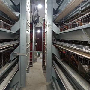 Новое крупное оборудование для производства яиц и цыплят, клетка для бройлеров, зашифрованная утолщенная, полностью автоматическая, высокопроизводительная стальная куриная ферма - Product Image 1