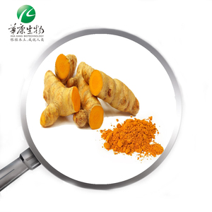 <span class=keywords><strong>Polvo</strong></span> de cúrcuma orgánico puro, extracto de <span class=keywords><strong>Curcuma</strong></span> Longa, extracto de raíz de cúrcuma con Bioperine 95% -10:1, curcuminoides, curcumina <span class=keywords><strong>en</strong></span> <span class=keywords><strong>polvo</strong></span> - Product Image 1