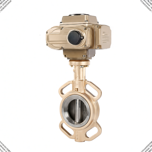 Vanne motorisée COVNA, commande urgente, fer à souder, étanchéité, vanne papillon électrique avec EPDM, réducteur de pression d'eau électrique - Product Image 5