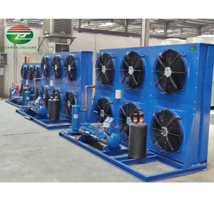เครื่องทำความเย็นสำหรับอาหารทะเลห้องเย็นคอมเพรสเซอร์3HP อุณหภูมิต่ำโรงงานจีนประสิทธิภาพสูง - Product Image 4