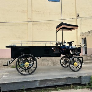 Venta Directa de Fábrica, Limusinas Clásicas Negras, Elegantes Coches Fúnebres, Carro Fúnebre Vintage en Venta - Product Image 6