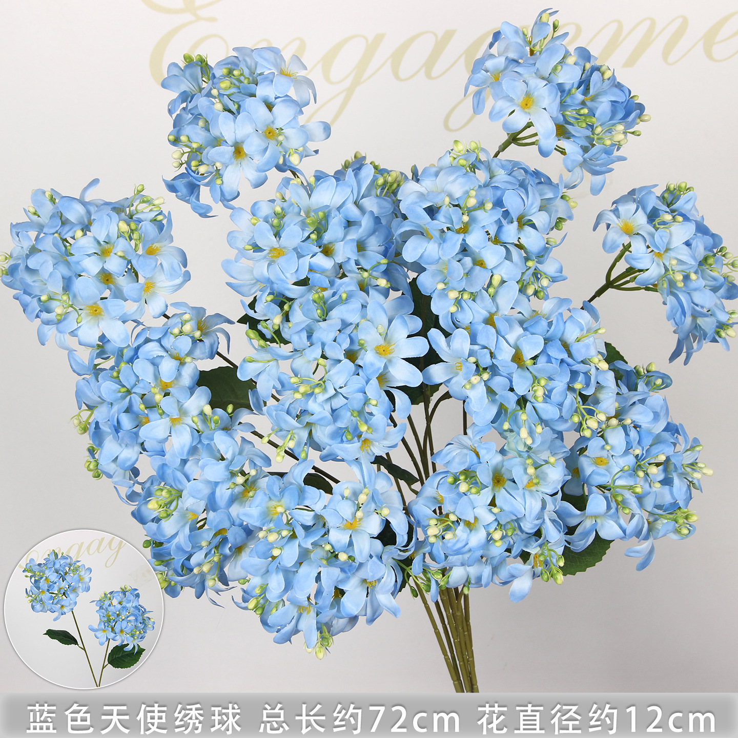 Hortensia ange bleu à deux têtes