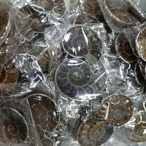 Venta al por mayor de fósiles de caracola natural, colgante de espécimen fósil de amonita arcoíris para collares de dijes - Product Image 2
