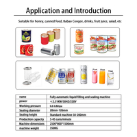 Machine de remplissage et de scellage entièrement automatique de 200 ml pour bouteilles de métal, idéale pour les boissons, le jus de noix de coco et les jus de fruits – Meilleures ventes