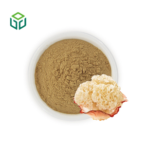 Polvo de Champiñones de Grado Alimenticio para el Cuidado de la Salud, 10%-50% Polisacáridos, Extracto Herbal de <span class=keywords><strong>Sparassis</strong></span> <span class=keywords><strong>Crispa</strong></span> en Envase de Tambor/Botella - Product Image 1