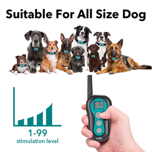 Collar de entrenamiento eléctrico para perros, cerradura de seguridad de 500M, con control remoto, 2021 - Product Image 3