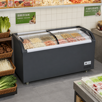 Congélateur commercial à verre incurvé avec thermostat réglable, 2 portes coulissantes, refroidissement direct, pour boutique de desserts glacés