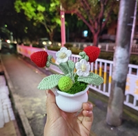 Vente en gros de pots à fruits en crochet élégants faits à la main et personnalisés pour plantes bonsaï, utilisation en voiture/à la maison, cadeaux de Pâques et de remise de diplôme