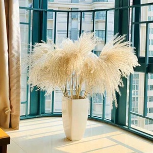 Petites herbes de la pampa colorées séchées, plantes décoratives moelleuses, fleurs séchées en gros, personnalisation sur mesure pour la décoration intérieure et les événements - Product Image 2