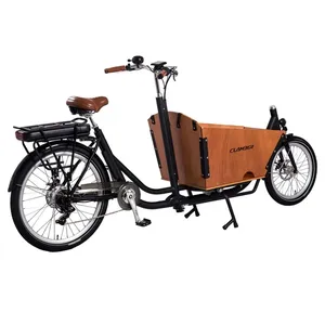 Bici elettrica cargo 2 ruote box anteriore bicicletta con 2 seggiolini per bambini per la consegna <span class=keywords><strong>bakfiets</strong></span> EU market - Product Image 2