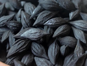 Briquetas de Oliva de carbón de parrilla para chimeneas y barbacoa - Product Image 5