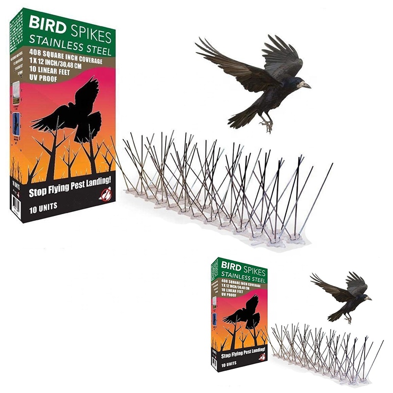 seagull proof ensacarks