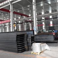 Structure en acier métallique durable pour atelier, bâtiment industriel, construction de charpente en acier sur mesure pour usine