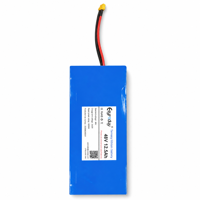 Batterie au lithium ternaire personnalisée OEM 48V 12,5Ah 13S3P pour chariot AGV d'entrepôt, véhicule d'inspection, chariot AMR avec BMS intelligent intégré