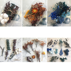 Kit de materiales para manualidades con flores preservadas para proyectos artísticos con múltiples opciones de color y flores secas - Product Image 5