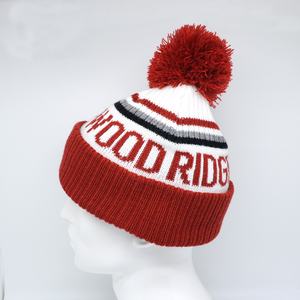 High Quality Customizable Bobble Hat Thick Beanie With 3D Embroidery Logo Pompom Style Character or Camouflage Pattern - Product Image 5