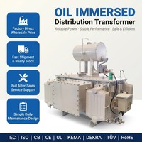 Transformateur de distribution d'huile triphasé à basse tension 4,16 kV 480 V en cuivre ONAN