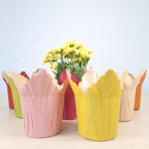 Couvre-<span class=keywords><strong>pot</strong></span> en papier imperméable pour plantes en <span class=keywords><strong>pot</strong></span>, fleurs en <span class=keywords><strong>pot</strong></span>, <span class=keywords><strong>couleur</strong></span> personnalisable - Product Image 1