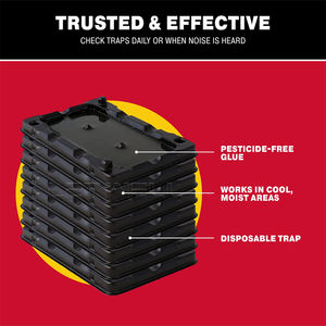 Trampas Adhesivas para Ratones y Ratas, Trampas de Pegamento No Tóxicas para Interiores, Trampa para Topos, Trampa para Ratones Fuerte y Adhesiva, Almohadilla de Pegamento para Ratones Grandes - Product Image 5