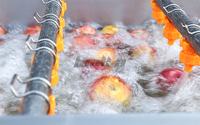 Duurzame Apple Roller Reinigingsmachines Fruit- en Groente Desinfectie Reinigingsmachine Mango's Was- en Sorteerlijnen