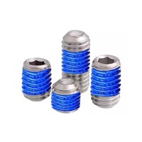 Vis sans tête à embase hexagonale M3-M8 en nylon A2-70, supportées par l'OEM, pour fixation anti-vibration