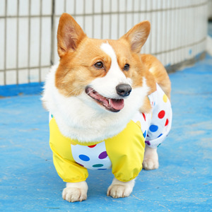 Corgi Dustproof <b>Pants</b> Four <b>Seasons</b> Moisture Proof Pet Bellyband Protective Clothing <b>for</b> <b>Dogs</b> Travel Use - Product Image 3