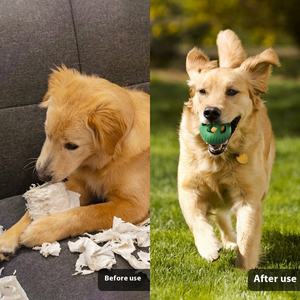 Dondurma topu yalamak tedavi dolu çiğnemek Freezable doldurulabilir Stuffable dondurulmuş köpekler için köpek bakımı oyuncak - Product Image 6