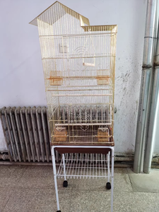 Kuş kafesi açık üst orta küçük papağan Parakeet kuş kafesleri oyna - Product Image 4