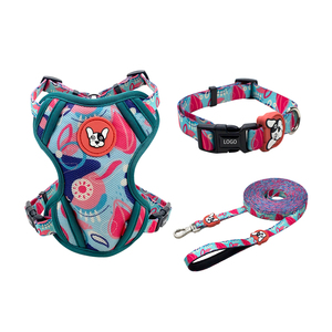 Tali Kekang Jalan Luar Ruangan, Set Tali Kekang dan Kekang Anjing untuk Anak Anjing - Product Image 1