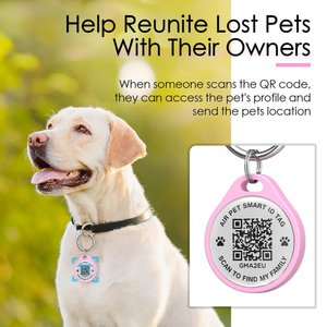 Hot Sale <b>Pet</b> Products ABS <b>Pet</b> Name Tag for Dogs and Cats - Product Image 2