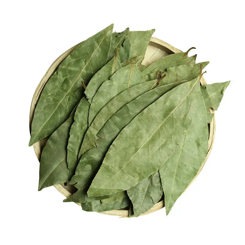Huaran yulin Quảng Tây Trung Quốc Màu Xanh lá cây nguyệt quế lá khô bay lá cho nấu ăn thực phẩm