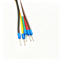 Kabel Harness Kustom dengan Konektor Plastik Merah & Biru, Terminal Pin Pre-crimped untuk Modul Kontrol Peralatan Rumah Tangga