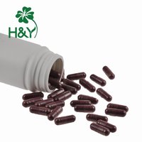 Natuurlijke Kwiek Gedroogd Elderberries Zwarte Vlier Elderberries Vruchtensap Poeder