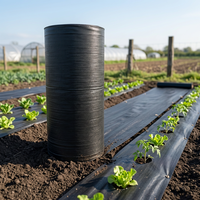 Toile de paillage anti-herbe stabilisée aux UV en PEHD pour l'agriculture et le jardin