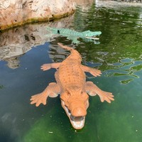 2.4G télécommande Crocodile jouet 1:18 échelle haute Simulation Crocodile pour piscine salle de bain cadeau RC bateau jouets pour garçons filles