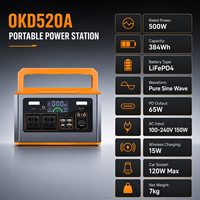 Station d'alimentation portable 500W, batterie LiFePO4, prise universelle, lampe torche, générateur solaire pour la maison, le camping et les situations d'urgence
