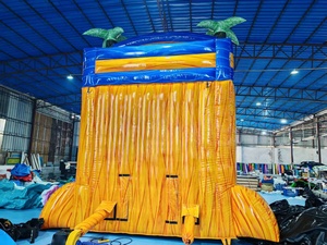 Toboggan sec gonflable pour adultes et enfants, toboggan aquatique commercial pour fête dans l'arrière-cour extérieure, maison gonflable au bord de l'eau avec piscine - Product Image 6