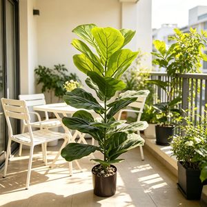 Ensemble de plantes artificielles modernes en pot : Monstera, Palmier, Feuille de bananier pour la décoration intérieure de la maison et du bureau, Vente en gros de verdure en plastique OEM - Product Image 5