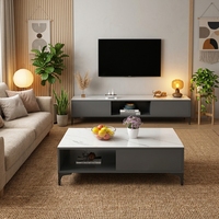 Meuble TV et Table Basse Minimalistes Modernes, Combinaison Luxe Léger, Mobilier Multifonctionnel de Petite Taille pour Salon d'Hôtel et Maison
