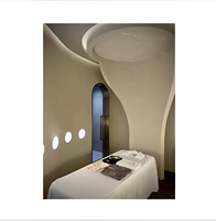 Plafond Tendu Moderne et Coloré en Fibre Optique Acoustique pour Hôtels, Panneau de Plâtre Télécommandé Effet Ciel Étoilé