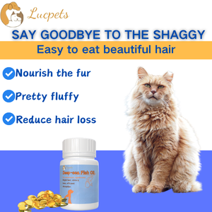 زيت السمك أوميغا 3 مكمل غذائي للكلاب والقطط - لصحة الجلد والفراء العضوي ودعم المناعة - Product Image 2