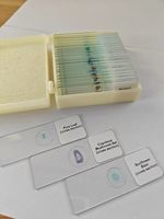 Middle School Class Use Basic Microscope Glass Slides Botany Zoology Mixed 25Pcs-Set Microscope Prepared Slides Set