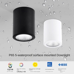 AC110V AC220V Focos de Iluminación Comercial Focos Downlights 7W 12W 18W IP65 Foco descendente Led montado en superficie impermeable - Product Image 2
