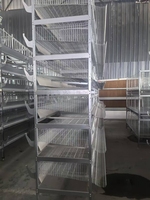 Cage à poulets de type H multi-scènes pour l'élevage des poules pondeuses, élevage avicole automatisé, nouvelle conception en acier galvanisé et acier inoxydable, facile à nettoyer