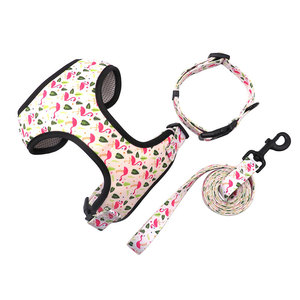 Correa para Perros Pequeños y Medianos con Estampado de Lazo, Bolsa para Excrementos, Arnés y Collar para Pasear Perros - Product Image 1