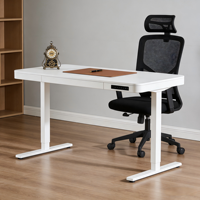 PRORIALS Cadre de bureau réglable en hauteur en fer, table de lecture électrique réglable, design moderne et minimaliste