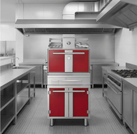 Nouveau four vertical commercial espagnol à charbon de bois, automatique, à double compartiments indépendants, sans contamination croisée des saveurs, bois