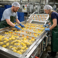 Fabrieksdirecte bubbelwasmachine, aanpasbaar, SUS304 fruit- en groentebubbelwasser voor voedselverwerkingslijnen